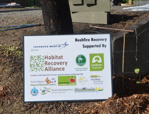 Exciting times for Habitat Recovery Alliance recipients