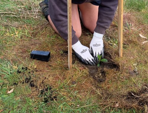 Preparing to plant