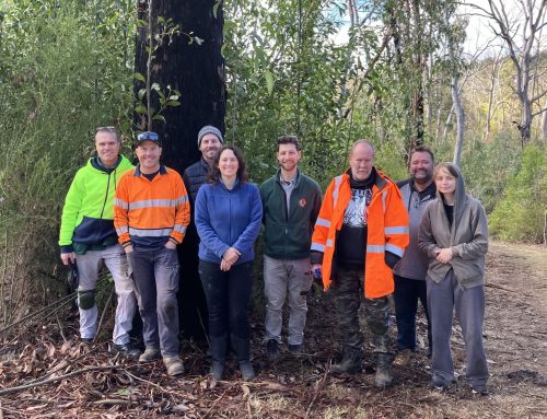 Porter Scrub planting session on June 16th 2024