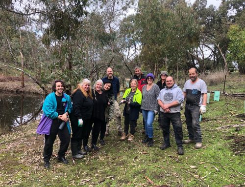 Kersbrook working bee