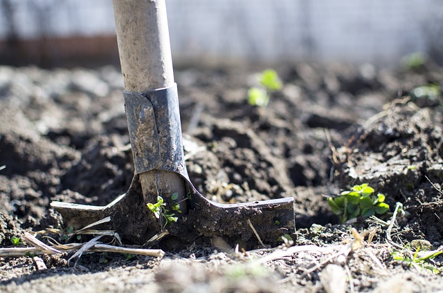 A shovel in the ground