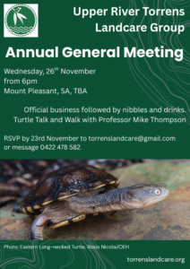 Notice of AGM 26th November 2025